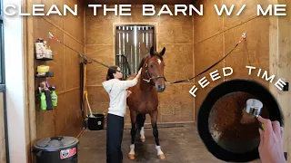 what i feed my horses! + cleaning the barn