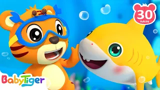 Baby Shark Doo Doo Doo🦈 & More Animal Songs & Nursery Rhymes for Toddlers - BabyTiger