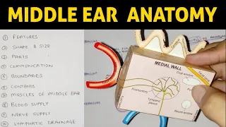 Middle Ear Anatomy | Part 1