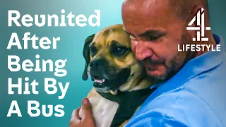 Emotional Family Reunion After A Bus Accident | The Supervet