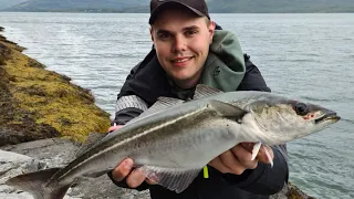 Eumer Fishing - Kalastusta Norjassa - Seikkailut vuonoissa ja Jäämerellä