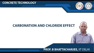 Carbonation and Chloride Effect