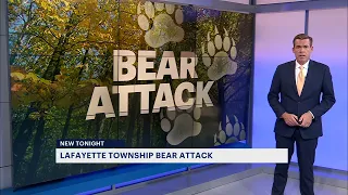 NJ DEP: Woman attacked by bear while checking mail in Sussex County