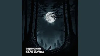 Одинокий волк и луна