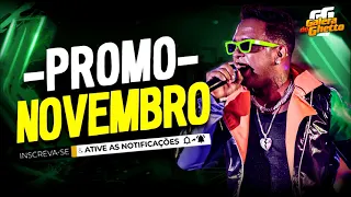 LA FURIA - PROMOCIONAL NOVEMBRO 2020 - REP. NOVO - MÚSICAS NOVAS