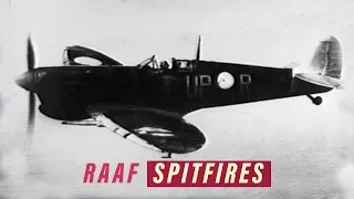 Spitfire in Australian Service