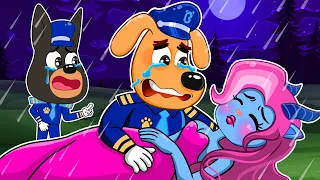 Sheriff Labrador So Sad Story...Dr. Antel Please Wake Up! - Sheriff Labrador Animation