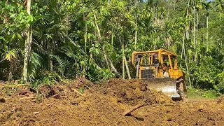 Plantation Road Widening Process Using Heavy Equipment Bulldozer CAT D6R XL
