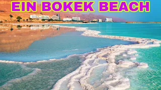 EIN BOKEK BEACH | FLOATING ON THE DEAD SEA IN ISRAEL | 4K