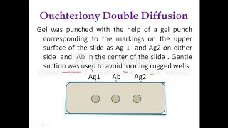 Ouchterlony Double Diffusion