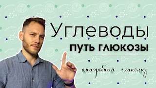 ГЛИКОЛИЗ!!! Так просто, как только возможно! (3D - химия)