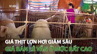 Nghịch lý giá thịt lợn hơi giảm sâu, giá bán lẻ ở mức rất cao | VTC14