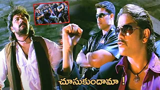 King Nagarjuna Telugu Movie Action Scene || Bomma Blockbusters