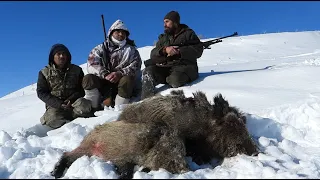 SUPERB WİLD BOAR HUNTİNG İN THE SNOW| KARDA SÜPER DOMUZ AVI| CHASSE AU SANGLİER