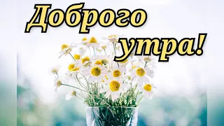 Доброго утра! С добрым субботним утром!Прекрасного дня!Музыкальная открытка с красивыми пожеланиями!