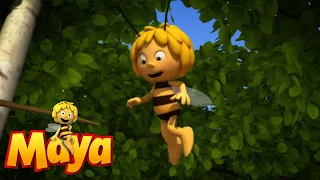 IN SEARCH OF THE LOST DUNG - Maya the Bee - Episode 41