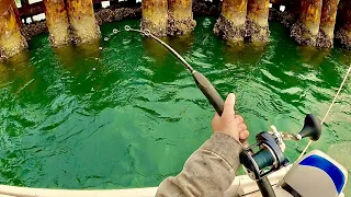 ROD TIP DIPPERS - December Bridge Fishing NC