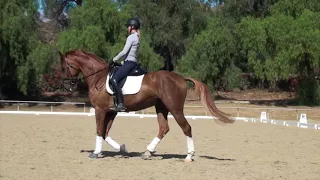 How to Ride Walk Pirouettes