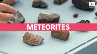 How to find a meteorite in Australia | Catalyst