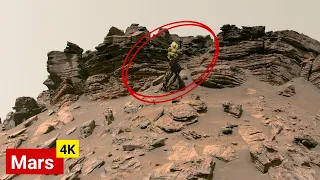 Mars Life Unbelievable Shocking 4K Images Capture by NASA's  Mars Rover - Curiosity Perseverance