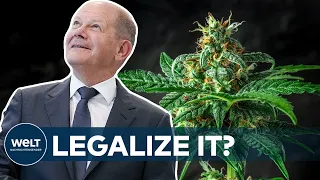 KANZLER WILL CANNABIS: Marihuana-Legalisierung - Scholz hat nie gekifft