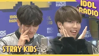 [IDOL RADIO]아이엠 그라운드 자기소개 하기!♬♪ (Stray Kids ver.)