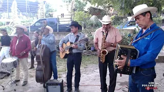 Vámonos a la Ciudad Los Viajeros de la Sierra en Vivo