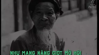 Em Đi Giữa Biển Vàng   Thu Bằng Thu thanh trước 1975   Official Lyric Video by Hà Nội Vi Vu