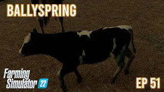 WE HAVE BABY COW!! | BALLYSPRINGS | Farming Simulator 22 - ep 51