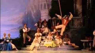 Swan Lake by American Ballet Theatre in 2005 - (abstract)