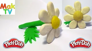 How to make a daisy flower of Play Doh modeling clay  Как слепить ромашку из пластилина Плей До