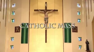 Catholic Mass for November 11th, 2018: The Thirty-second Sunday in Ordinary Time