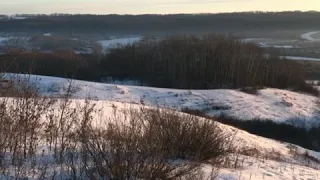 185” Saskatchewan Whitetail