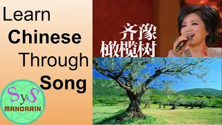 346 Learn Chinese Through A Popular Song  橄榄树 Olive Tree