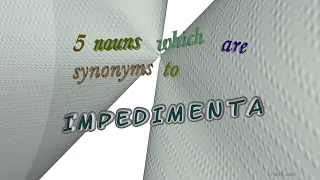 impedimenta - 6 nouns synonym of impedimenta (sentence examples)