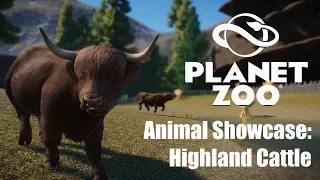 Highland Cattle Showcase Build | Planet Zoo