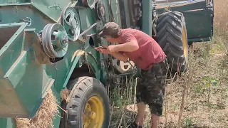 25.06.23 почали косити ріпак