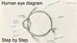 Human eye diagram step by step for beginners | School assignment | CBSE drawings | #eyedrawing