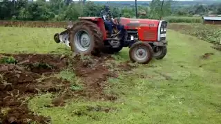 Massey Ferguson 375 with disc Plough