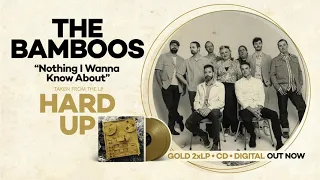 The Bamboos - Nothing I Wanna Know About (Official Audio)