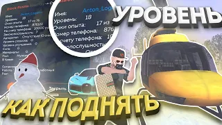 😱 КАК ПОДНЯТЬ УРОВЕНЬ на BLACK RUSSIA? КАК БЫСТРО ПРОКАЧАТЬ 15 ЛВЛ на БЛЕК РАША | CRMP MOBILE