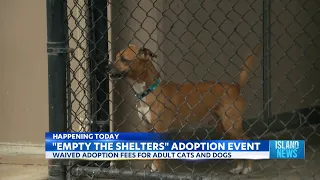 Last day of waived adoption fees at Hawaii Humane Societies