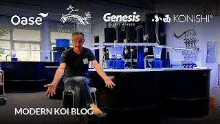 Modern Koi Blog #6060 - Wann kann man Koi nach Parasitenbahndlung vergesellschaften?