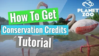 How to get Conservation Credits in Planet Zoo | Planet Zoo Tutorial