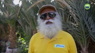 Sadhguru's Message After His Visit To Palestine