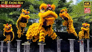 CNY 2024 - Acrobatic Lion Dance by Kwong Ngai 光艺 @ Tria Sales Gallery 黄金醒狮 高桩採青 鼓乐伴奏