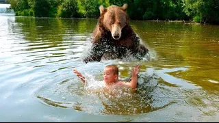 Mama Bear Found A Drowning Baby who was Crying For Help, What She Did Amazed Everyone!