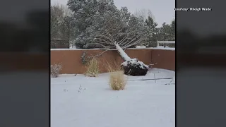 Winter weather hits New Mexico