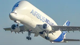 80 MINUTES PURE AVIATION - Airplane Highlights - Airbus A380, A310, Beluga, Boeing 747 ... (4K)