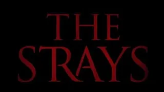 The Strays #Official #Trailer #Netflix #2023